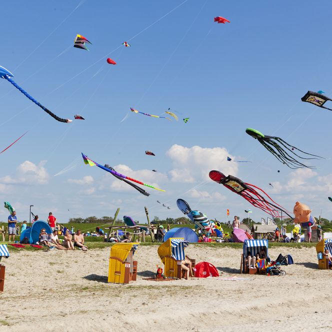 Drachenfest in Tossens