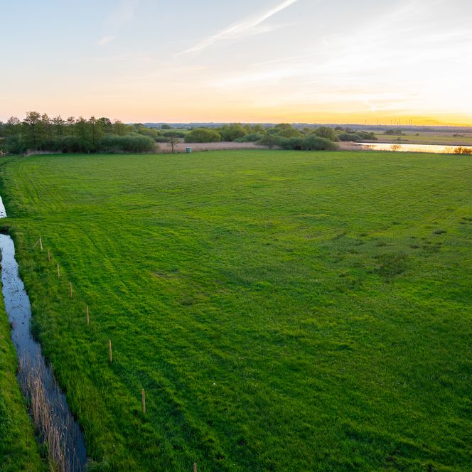 Grüne Moorlandschaft bei Worpswede mit schmalem Wasserlauf und Sonnenuntergang über dem Horizont