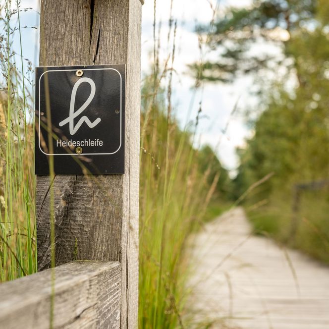 Wanderweg Heideschleife Pietzmoor Schneverdingen Beschilderung