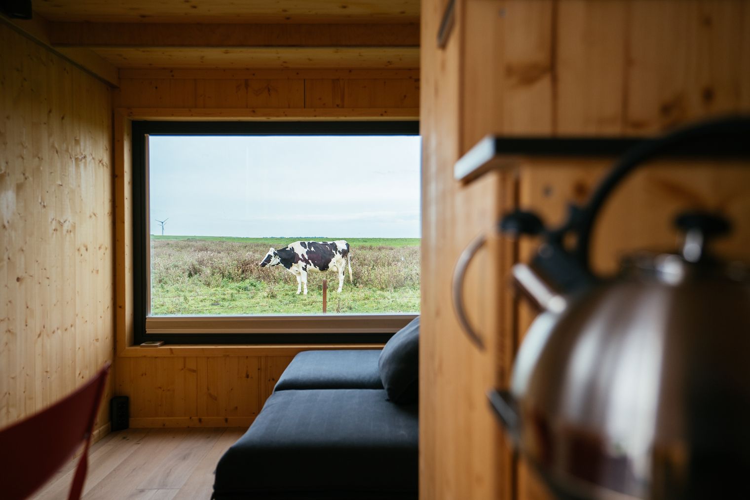 Die Aussicht der Tiny Houses in Harlesiel in die grüne Natur