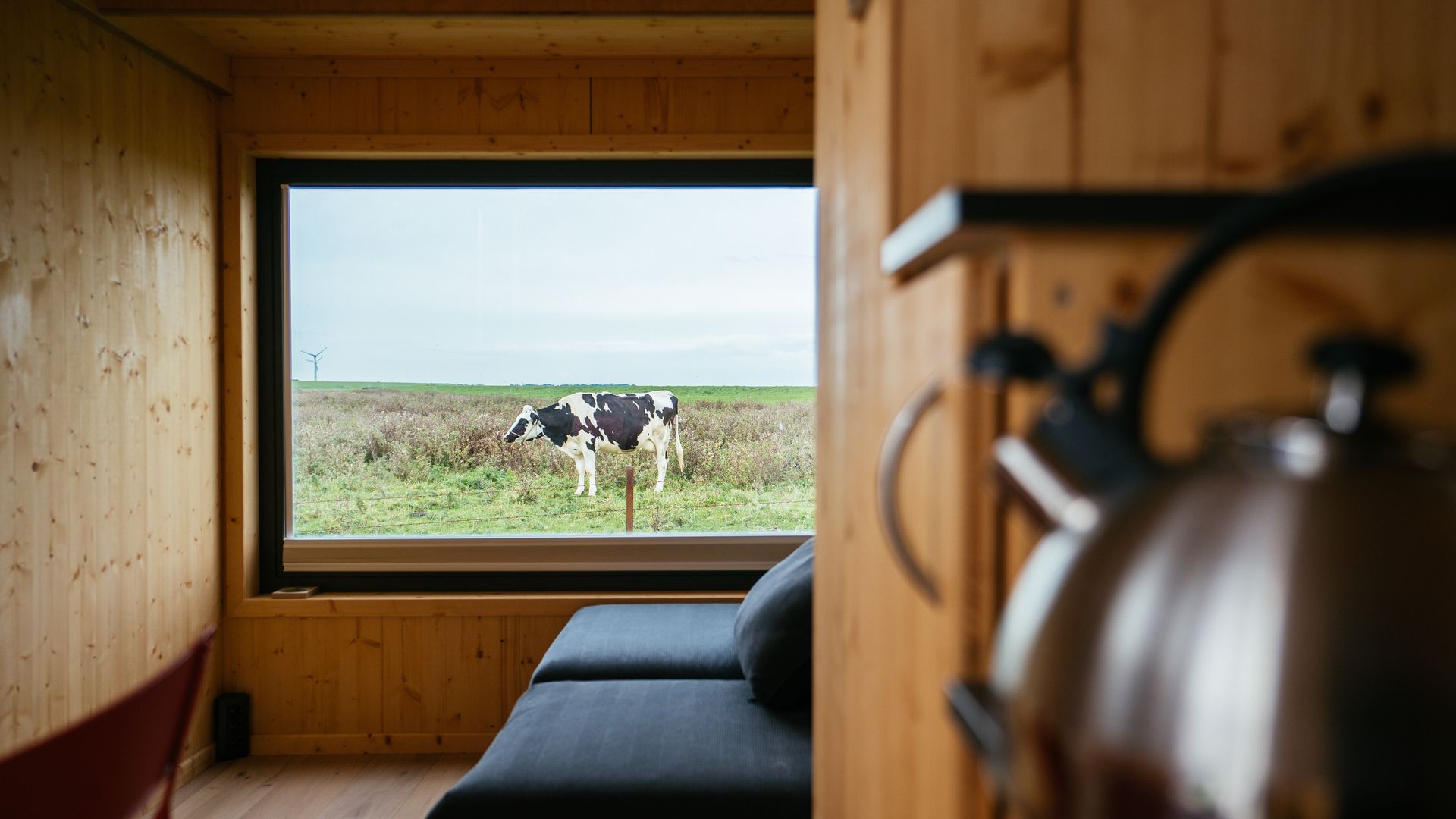 Die Aussicht der Tiny Houses in Harlesiel in die grüne Natur