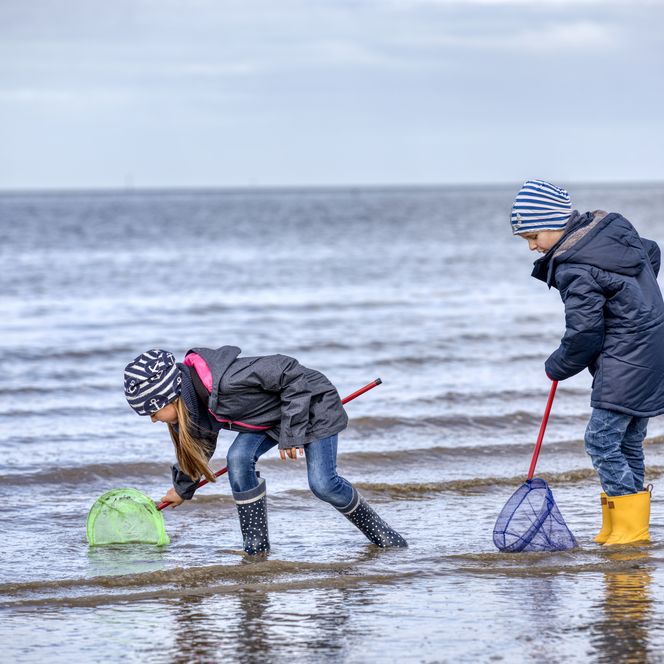 Kinder im Watt