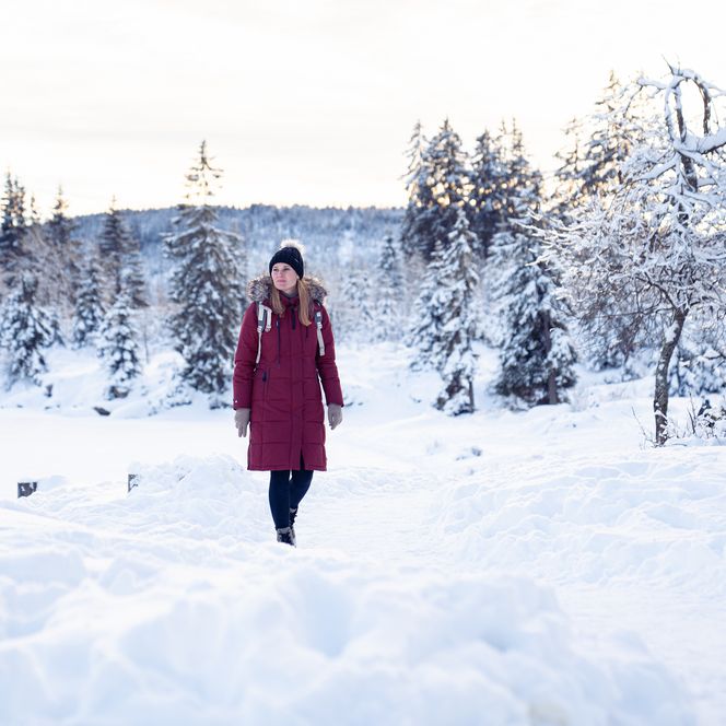 Winter am Oderteich im Harz 