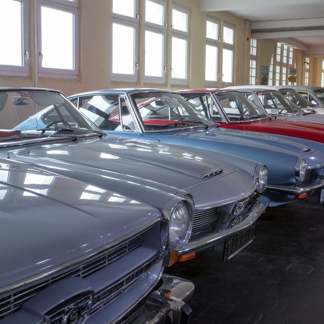 Eine Reihe farbenfroher Oldtimer-Cabrios in einer hellen Fahrzeugausstellungshalle.