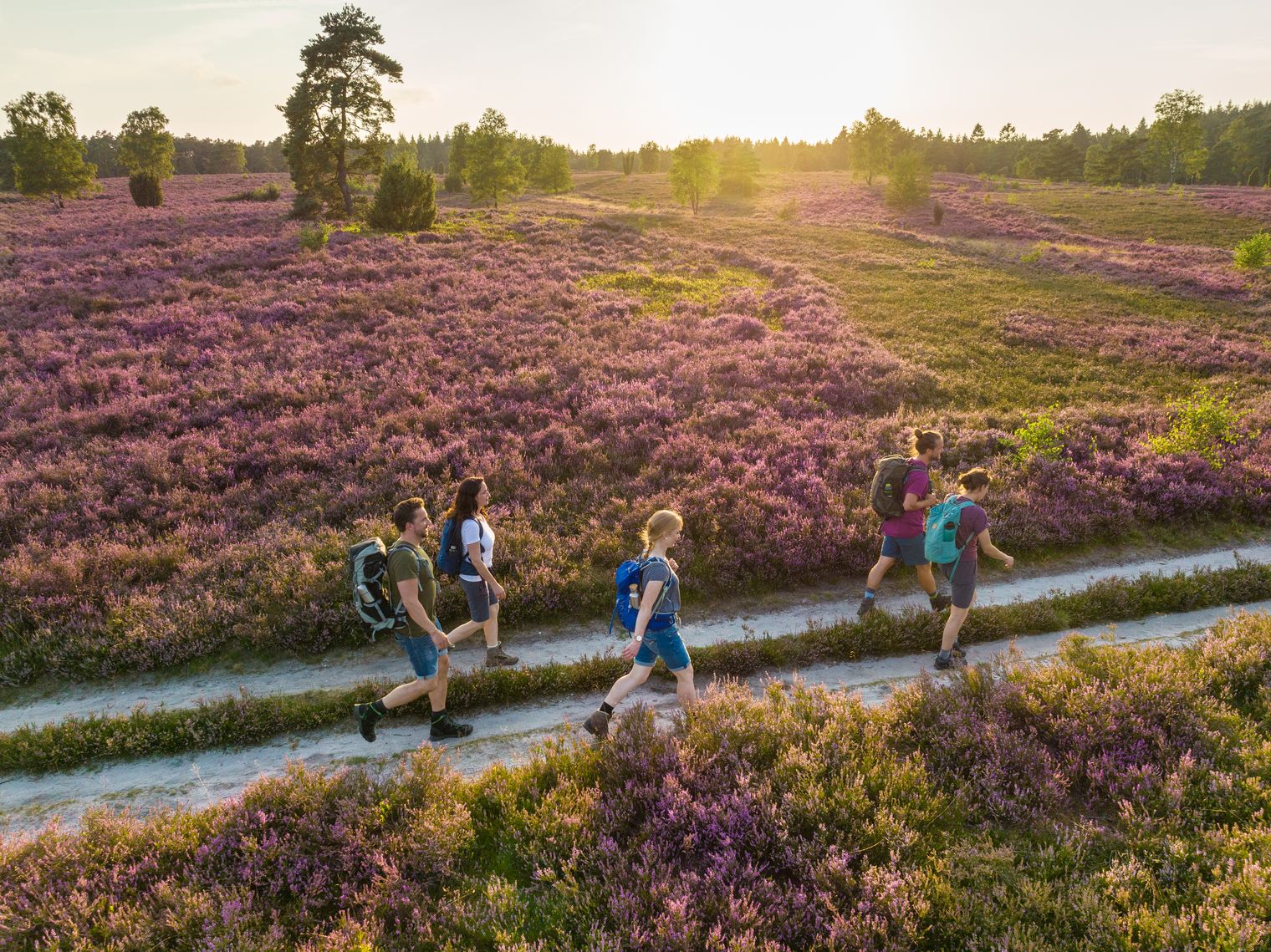 Wanderer in der Lüneburger Heide