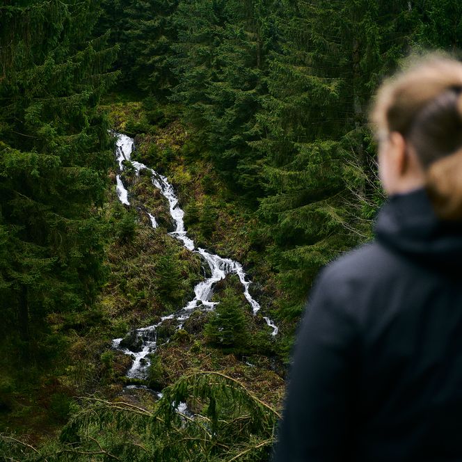 Eine Person blickt von oben auf den Grumbacher Wasserfall, der durch einen dichten Nadelwald fließt.