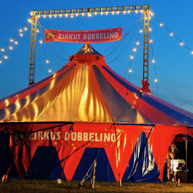Zirkus Dobbelino Juist