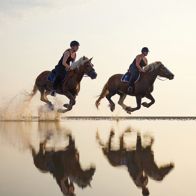 Reiten im Watt
