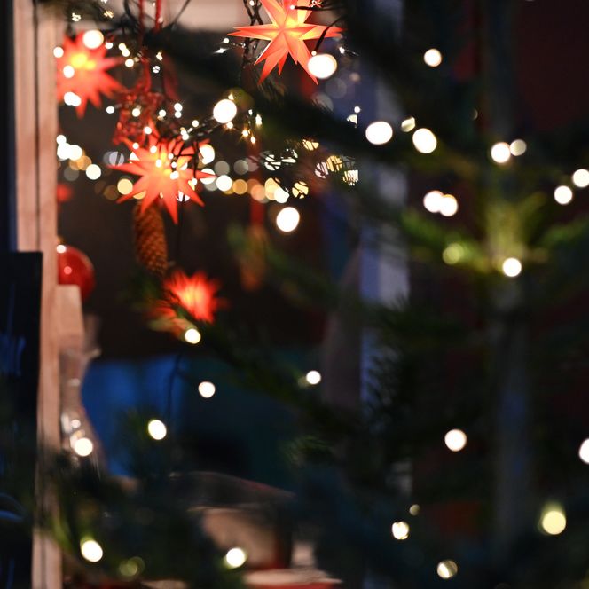 Rote Weihnachtssterne und Lichterketten schmücken einen Stand auf einem festlich beleuchteten Markt.