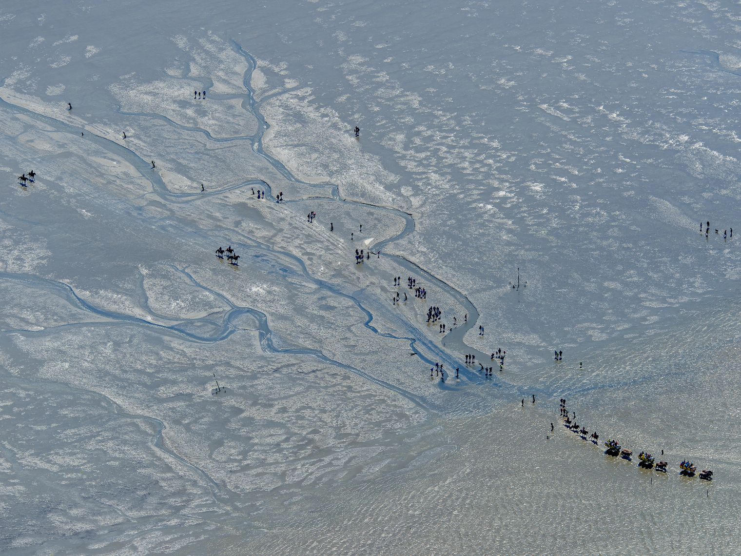 Priel im Cuxhaven Wattenmeer