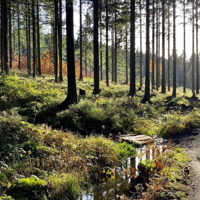 Unterwegs auf dem Liebesbankweg