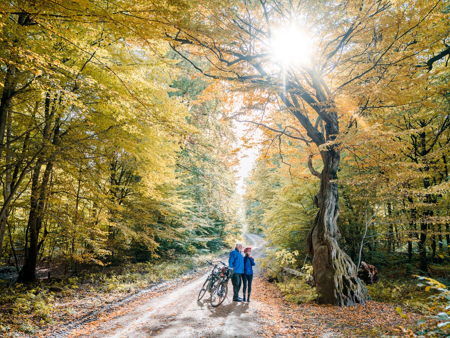 Adam und Eva im Lappwald