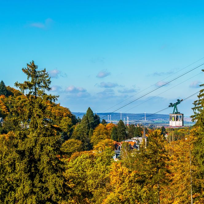 Aussicht Baumwipfelpfad Harz