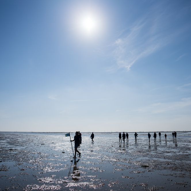 Geführte Wattwanderung
