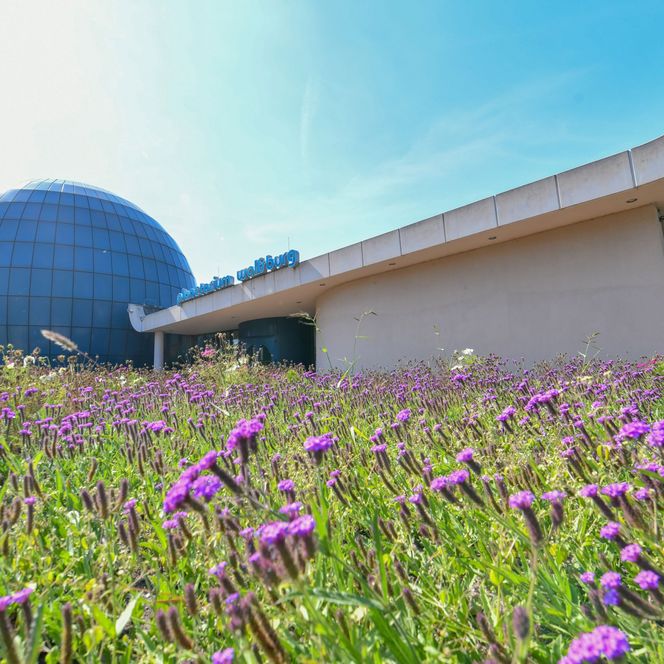 Planetarium Wolfsburg