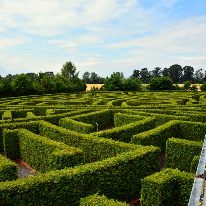 Großes, grünes Heckenlabyrinth mit Spaziergängern auf erhöhter Holzplattform.