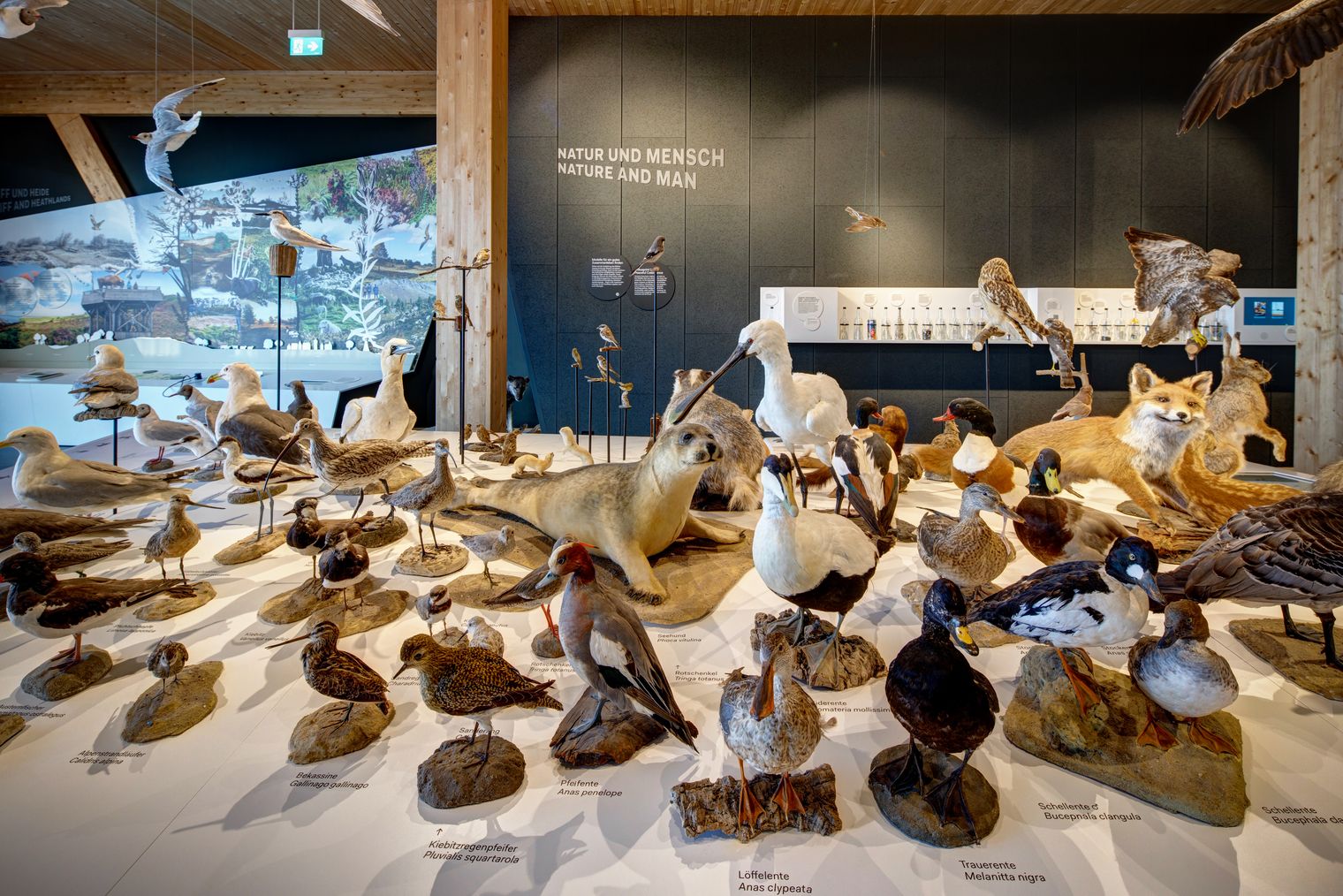 UNESCO-Weltnaturerbe Wattenmeer-Besucherzentrum Cuxhaven
