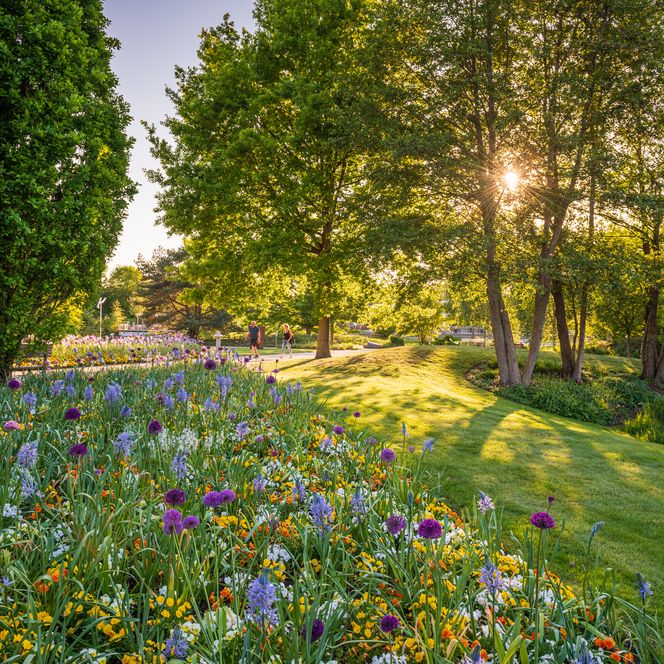 Park der Gärten im Frühling
