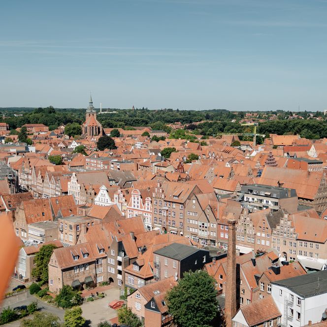 Aussicht vom Lüneburger Wasserturm über rote Dächer, Kirchen und grüne Baumkronen.