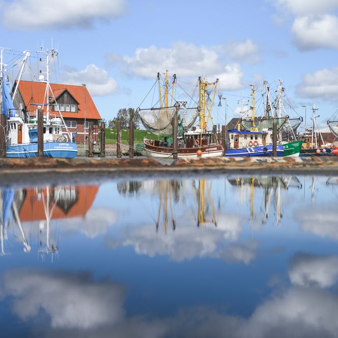 Die Fischkutter im Hafen von Fedderwardersiel in Butjadingen.