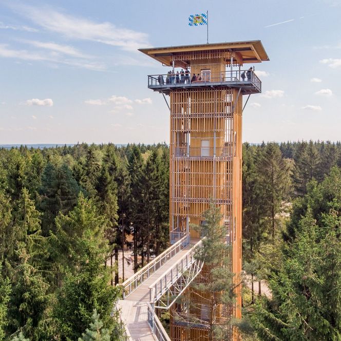 Aussichtsturm des Baumwipfelpfads in der Lüneburger Heide