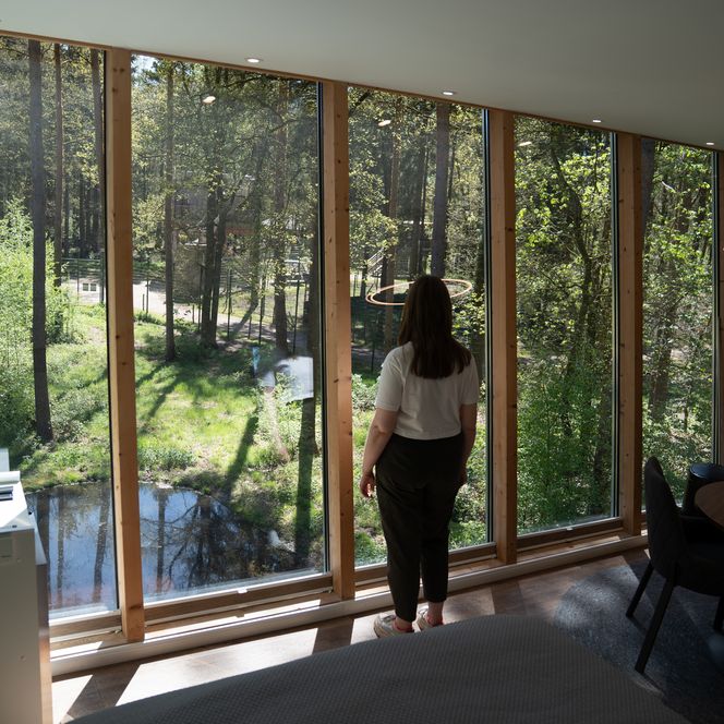 Person blickt aus einem Zimmer durch Panoramafenster in den Wald.
