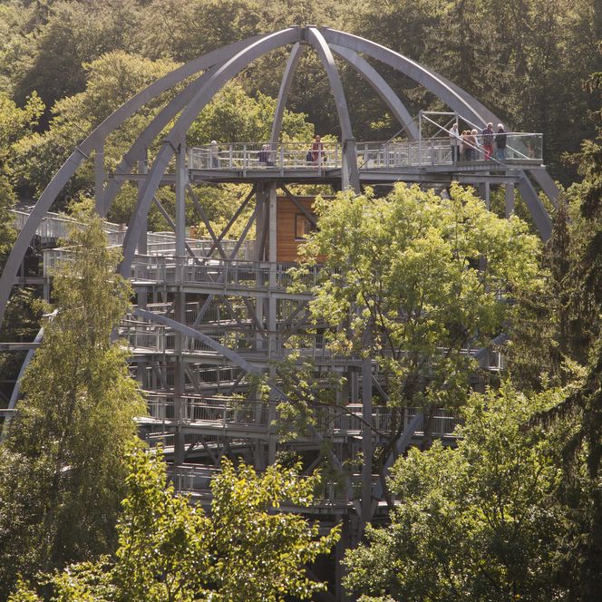 Krone Baumwipfelpfad Harz