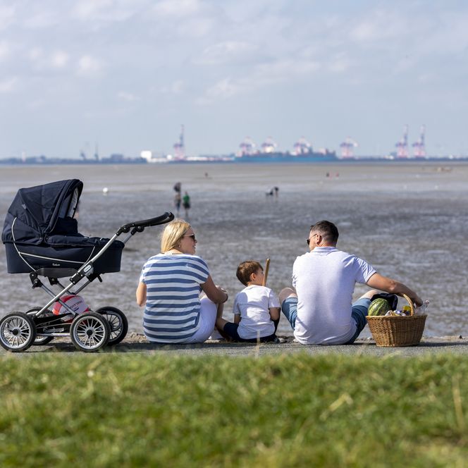 Wattenmeer Butjadingen
