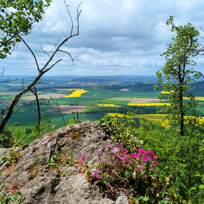 Weite Aussicht vom Felsvorsprung mit rosa Blüten über grüne Wiesen und gelbe Felder.
