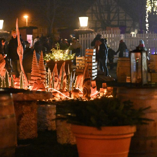 Beleuchtete Holzfiguren und Tannen im winterlichen Garten, Menschen flanieren zwischen Ständen.