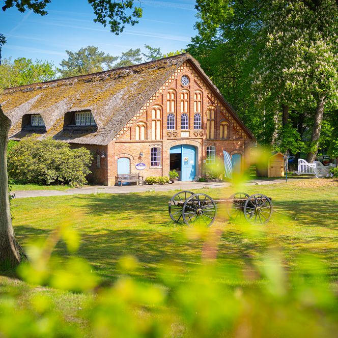 Historisches Fachwerkhaus mit Reetdach in Worpswede, umgeben von Bäumen und grüner Wiese.