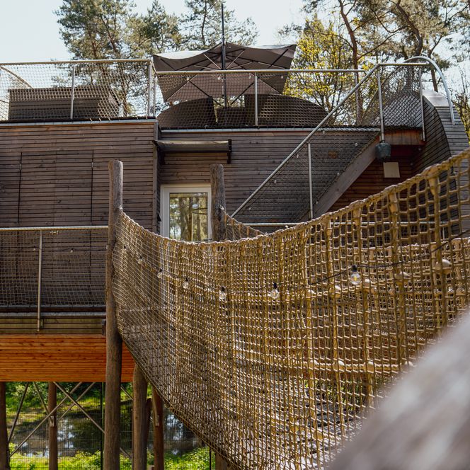 Stelzenhaus mit Hängebrücke und Dachterrasse zwischen Kiefern in Dörverden.