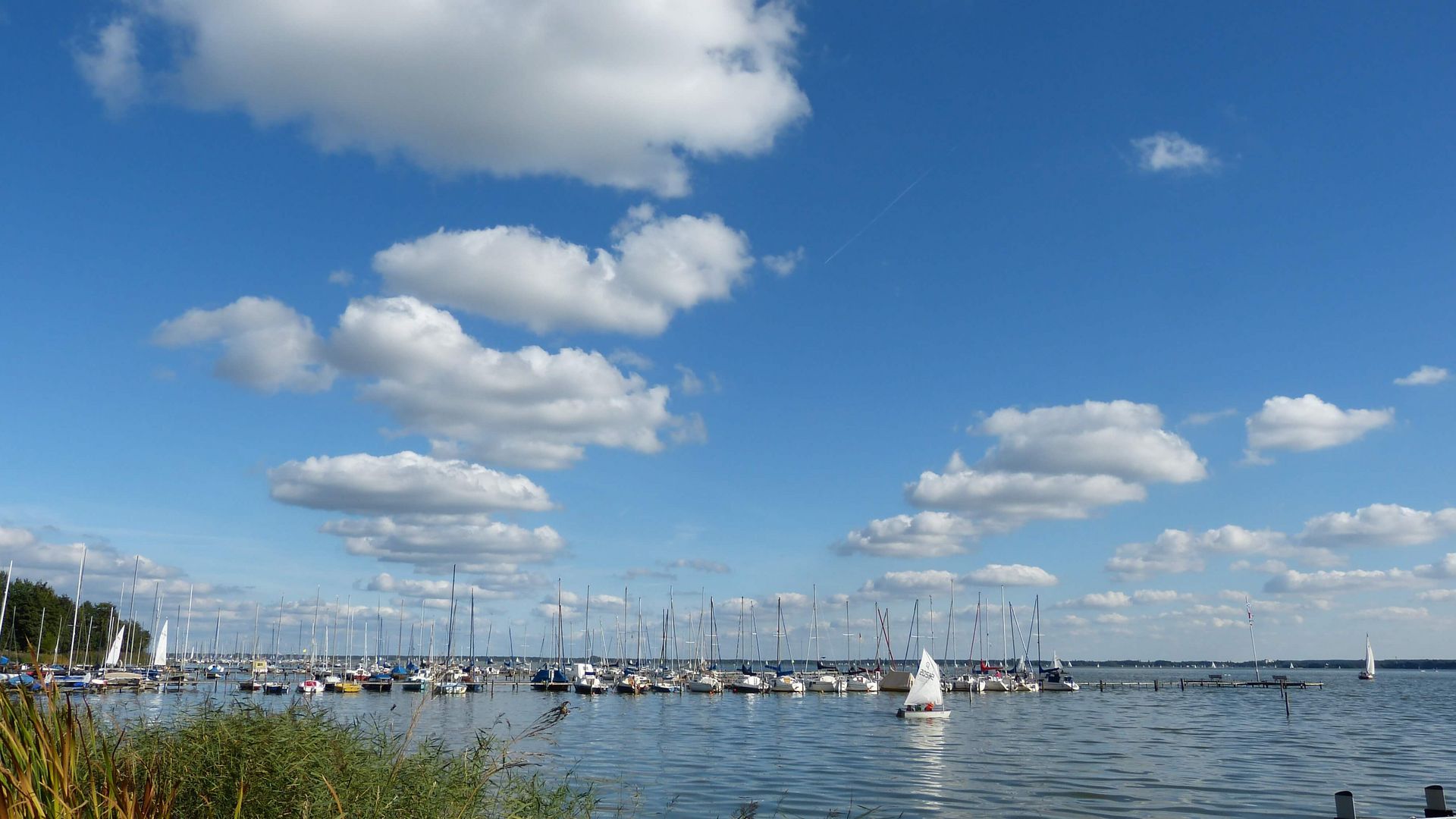 Hafenansicht des Steinhuder Meeres unter blauem Himmel mit weißen Wolken und Segelbooten.