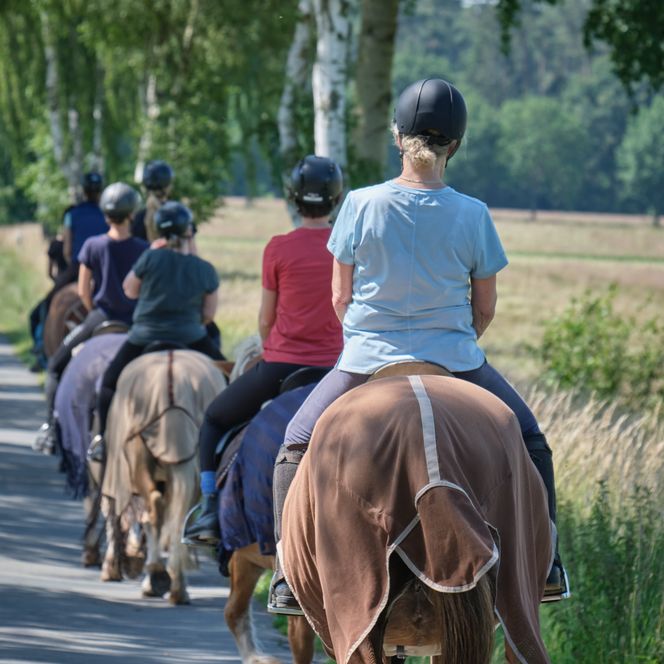 Reitausflug in der Urlaubsregion Wendland.Elbe
