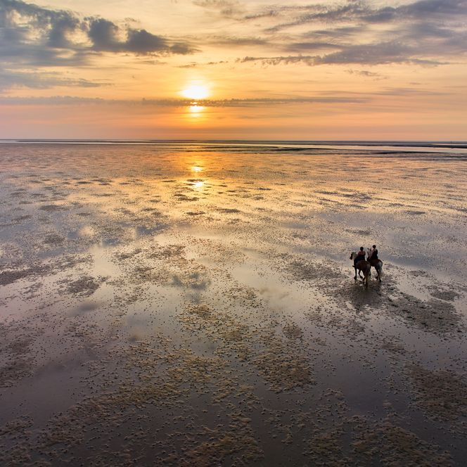Reiten im Watt