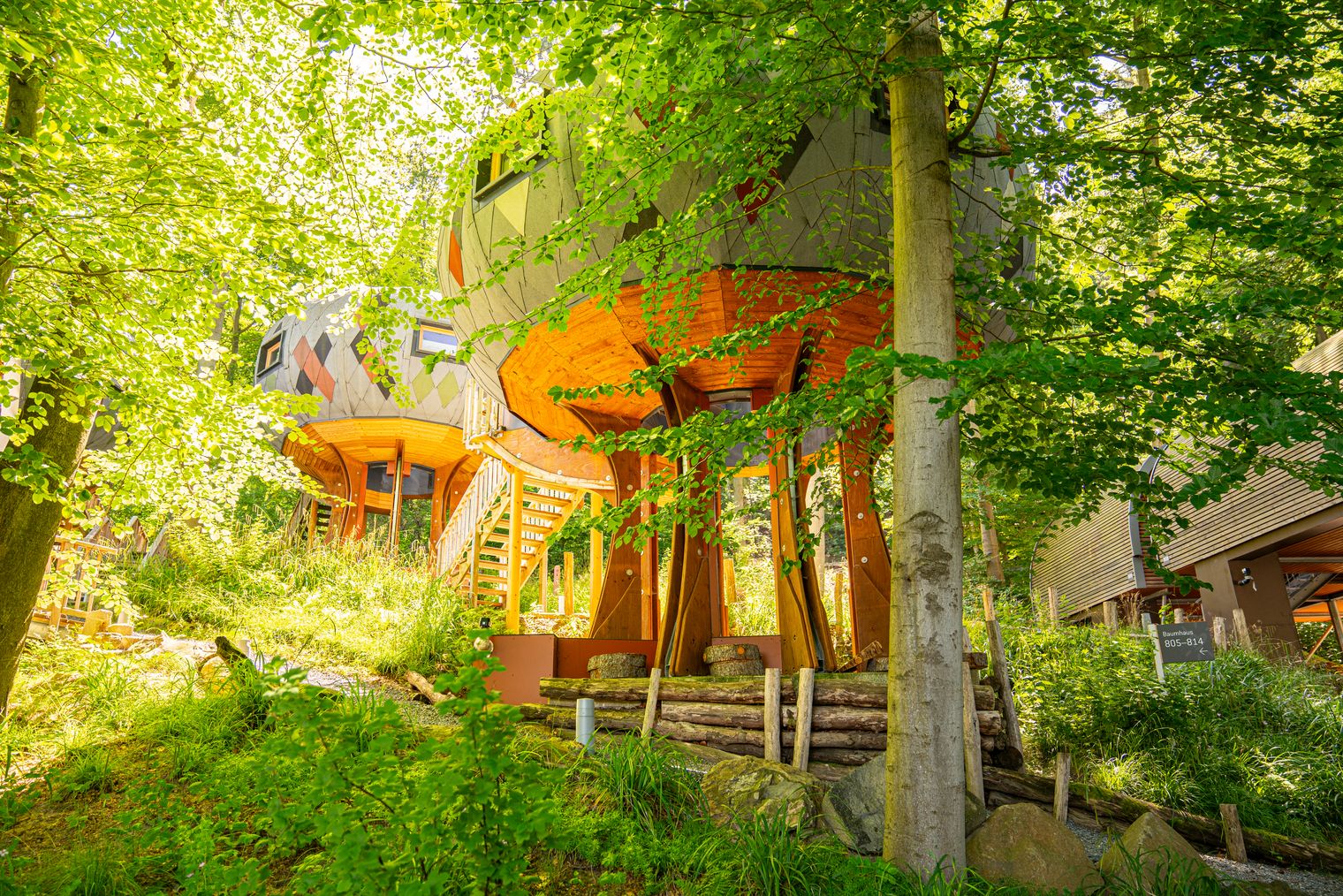 Das Stelzenhaus “Oktagon" des Sonnenresorts in Ettershaus