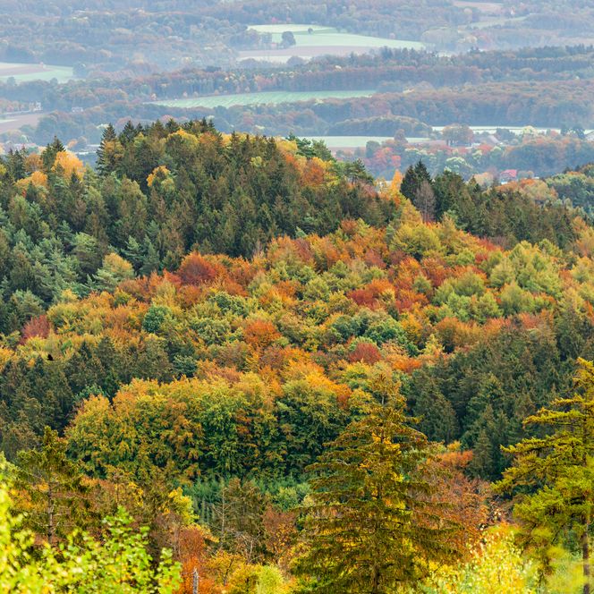 Natur- und Geopark Terra.vita