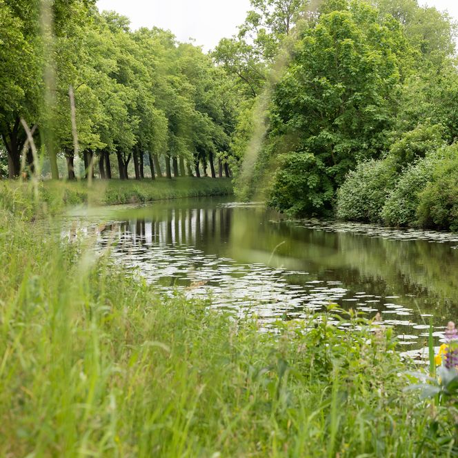 Fluss Vechte