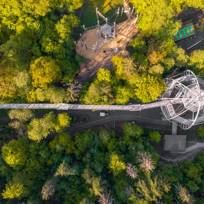 Drohnenaufnahme Baumwipfelpfad Harz