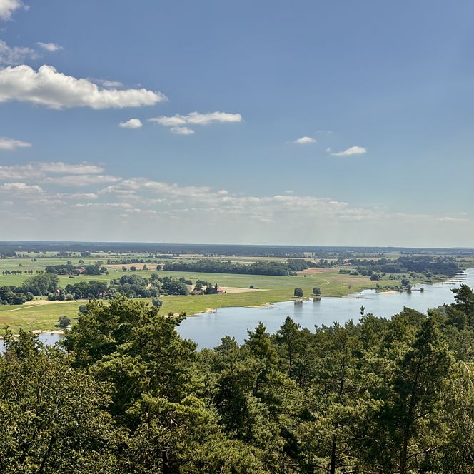 Ausblick auf die Elbe im Wendland (Sommer) 