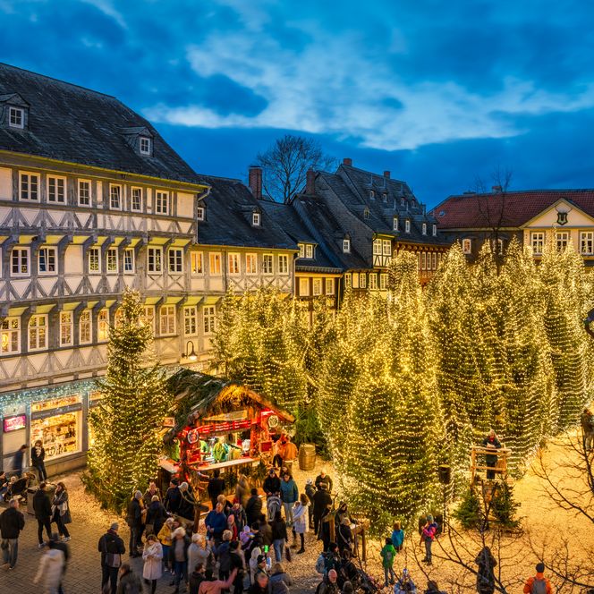 Goslarer Weihnachtswald