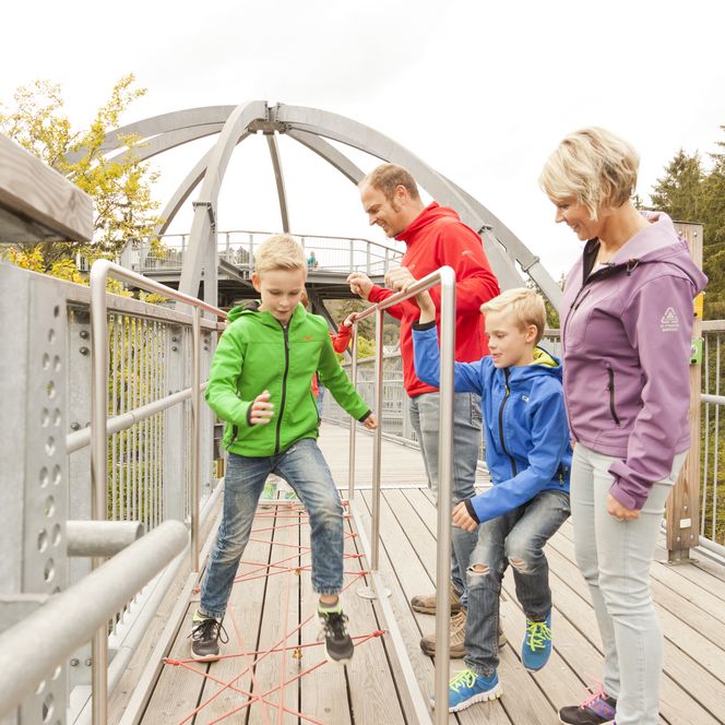Erlebnisstation Baumwipfelpfad Harz