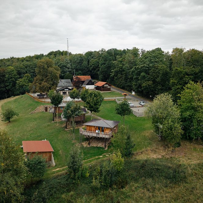 Blick auf das Stelzenhaushotel Waldquelle an einem grünen Hang vor einem dichten Wald im Weserbergland.