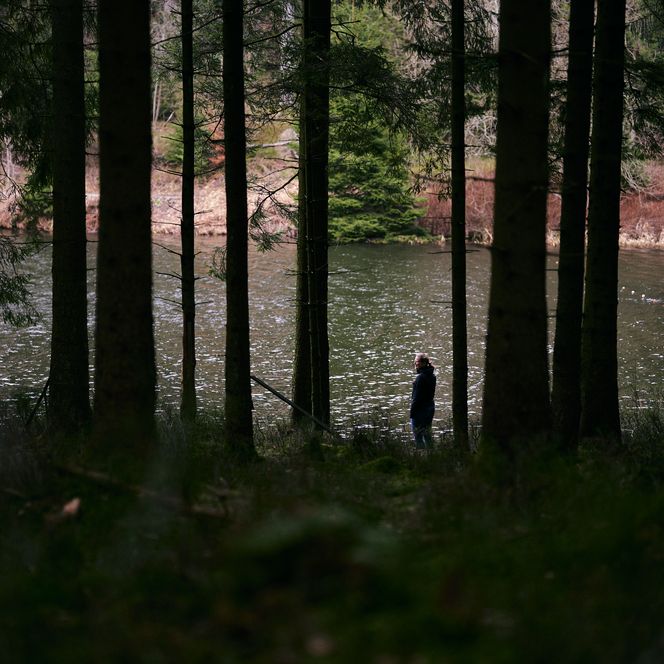 Blick durch Baumstämme auf eine Person am Ufer eines Sees im Wald des Oberharzes.