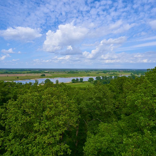 Ausblick vom Turm in Höhbeck