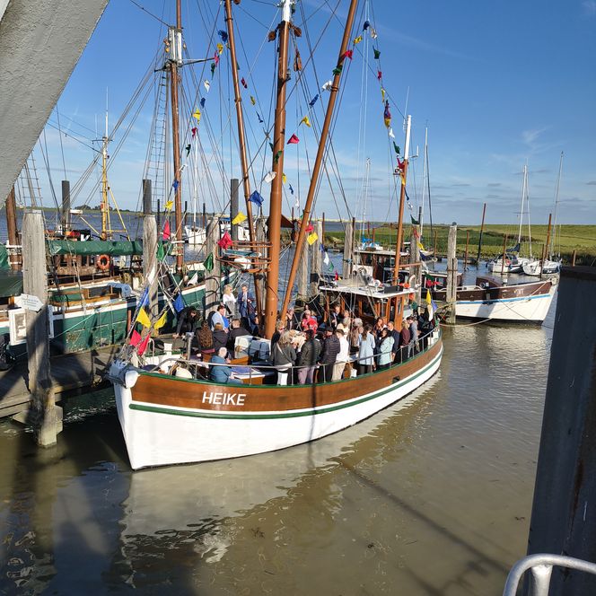 Traditionelles Holzschiff mit bunten Wimpeln und Passagieren im sonnigen Hafen von Ditzum.