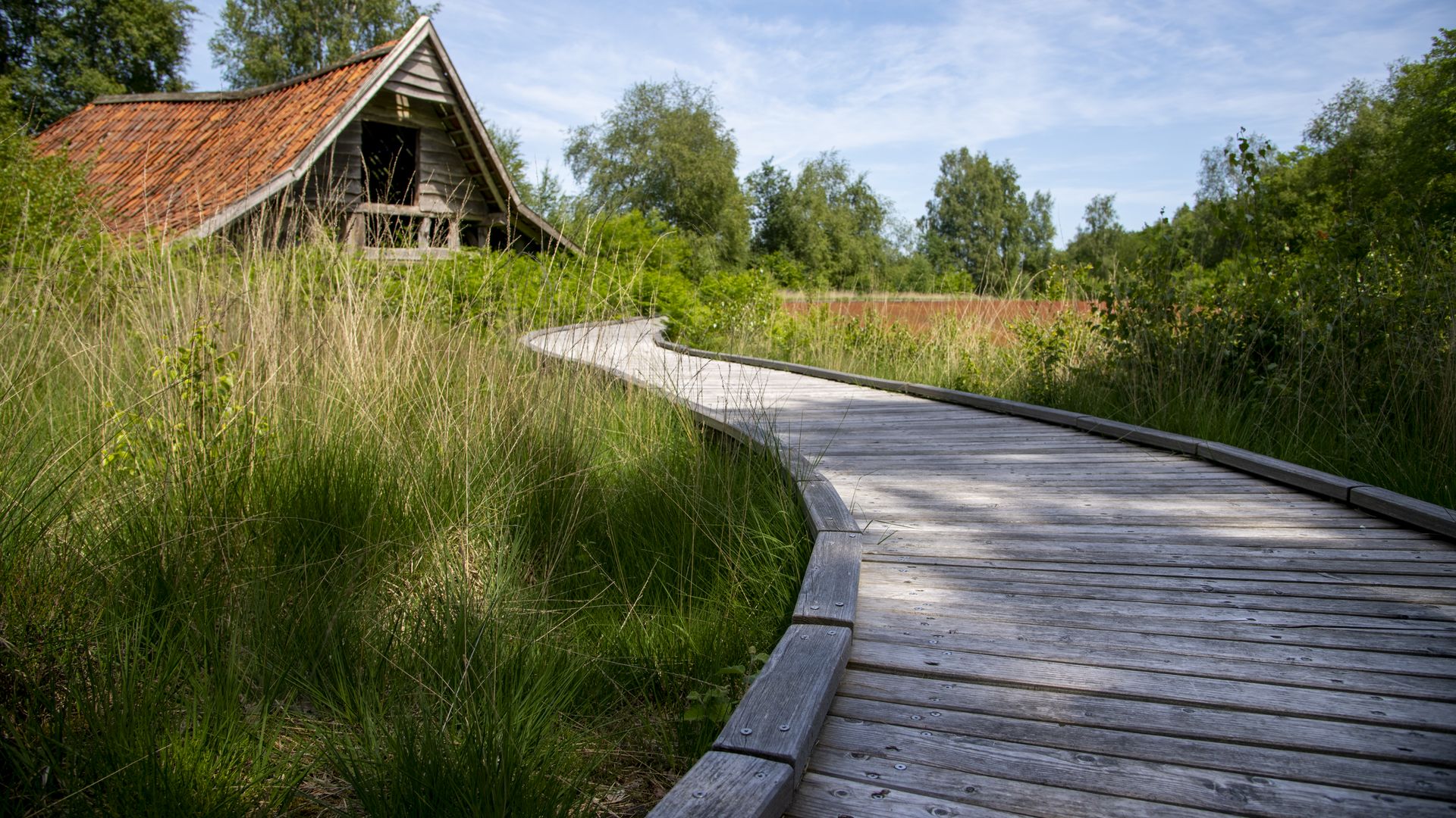 Bohlenweg durch das Moor