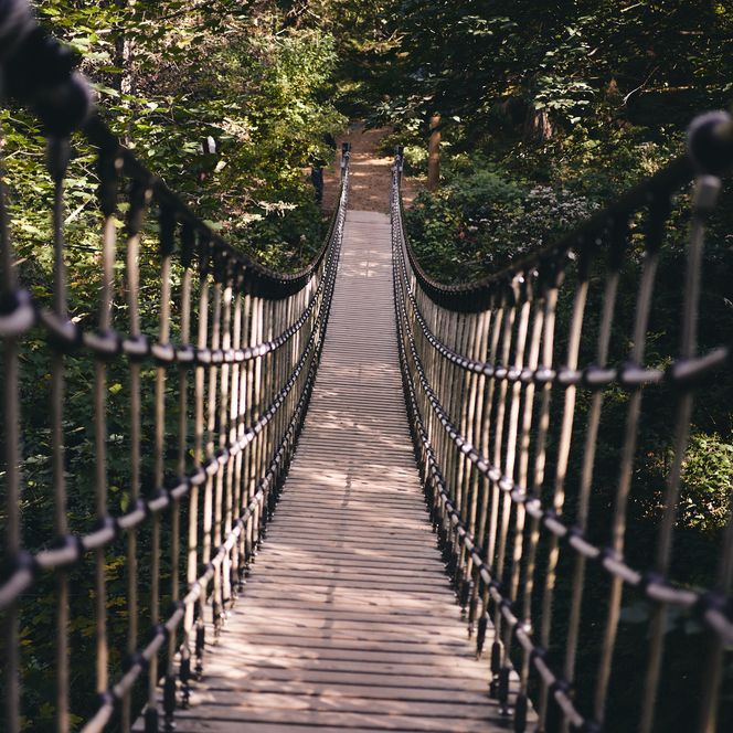 Een smalle hangbrug van hout en touwen leidt door een dicht, groen bos in het Harz Wereldbos.