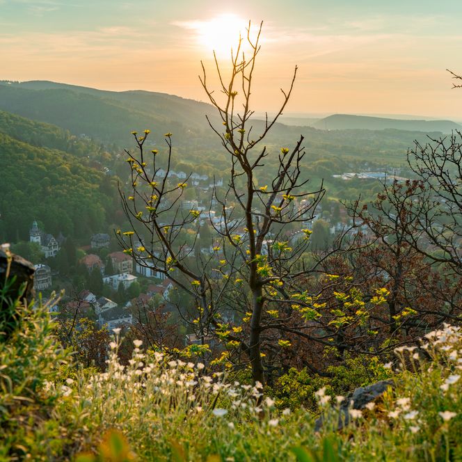 Draufsicht Burgberg Bad Harzburg