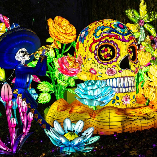 Bunte Lichtfiguren mit Totenkopf und Musiker zwischen farbenprächtigen Blumen beim Lichterfestival.